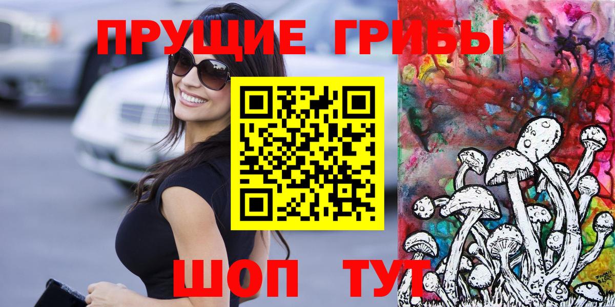 Псилоцибиновые грибы Psilocybine cubensis Реутов